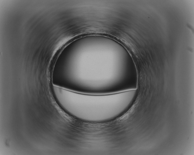 X0000091650981200708231006