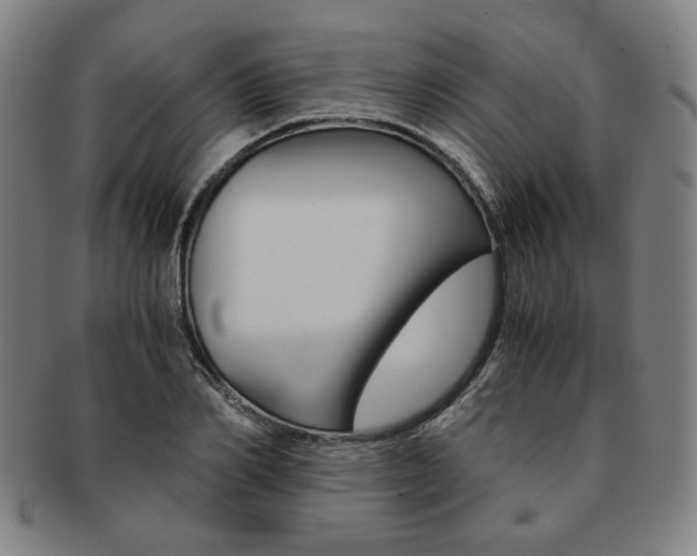 X0000091650982200708231006