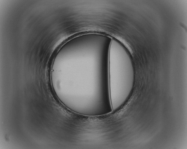 X0000091650983200708231006