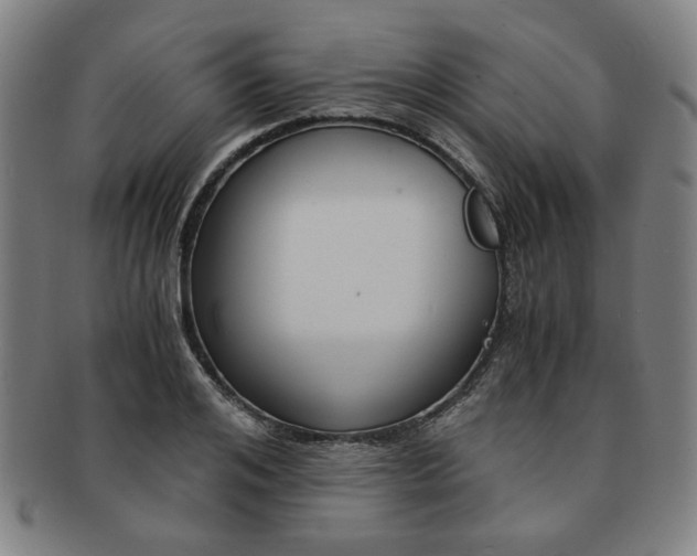 X0000091650984200708231006