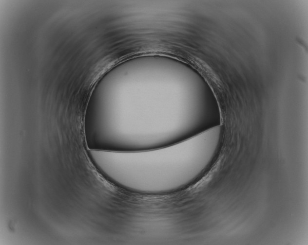 X0000091650985200708231006