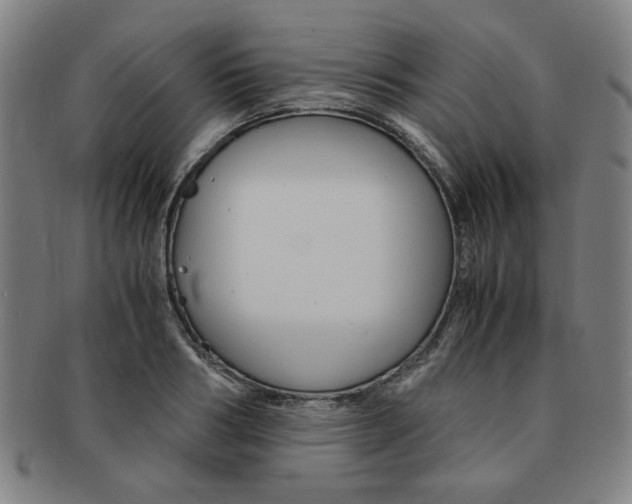 X0000091650986200708231006