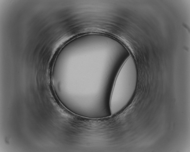 X0000091650987200708231006