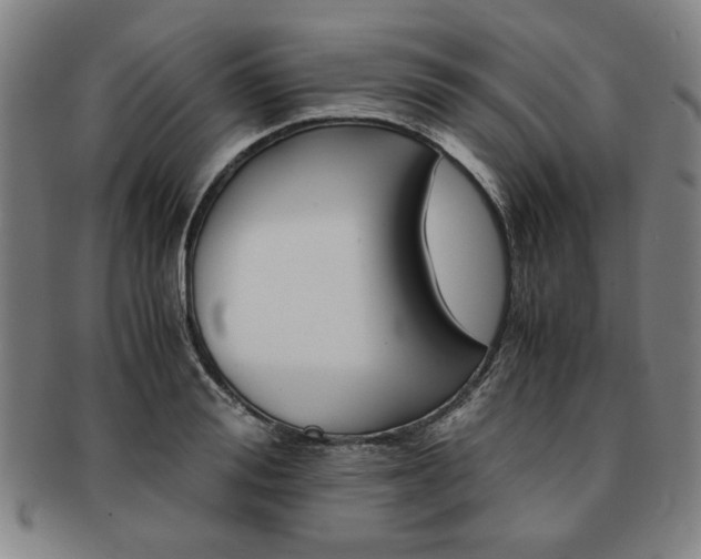 X0000091650988200708231006