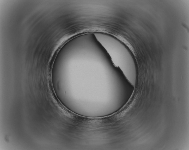 X0000091650989200708231006