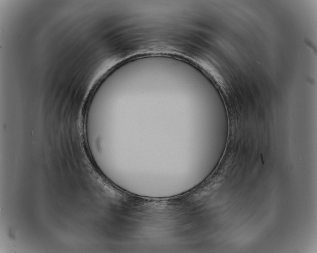 X0000091650990200708231006