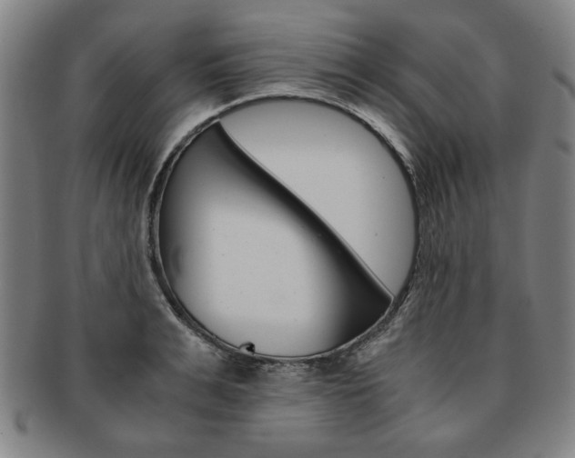 X0000091650991200708231006