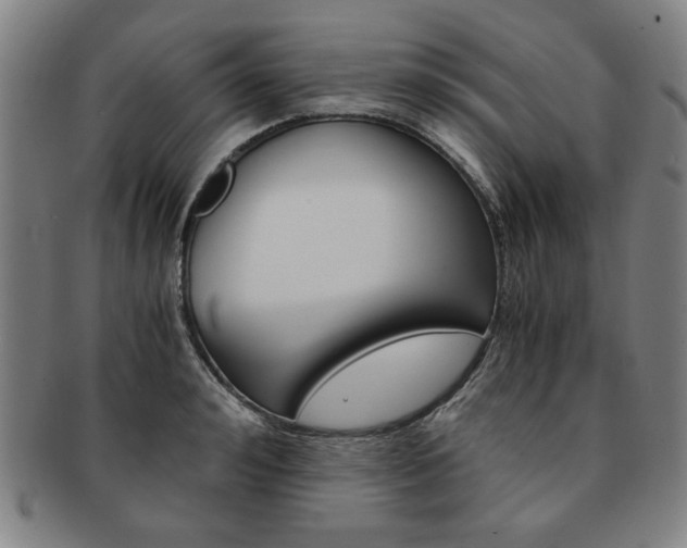 X0000091650992200708231006