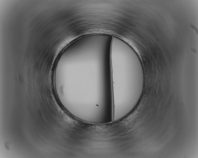 X0000091650995200708231006