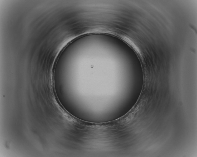 X0000091650996200708231006