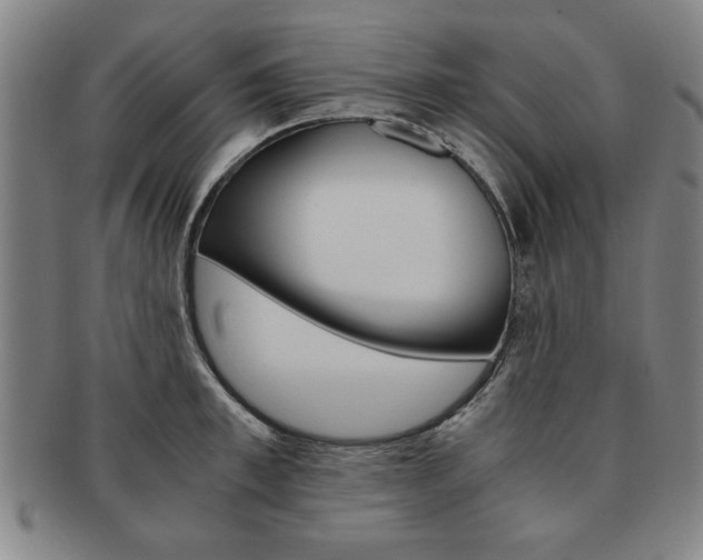 X0000091650997200708231006