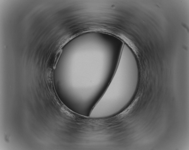 X0000091651001200708231006