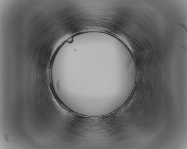 X0000091651003200708231006