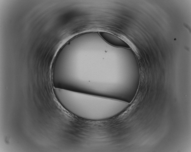X0000091651004200708231006