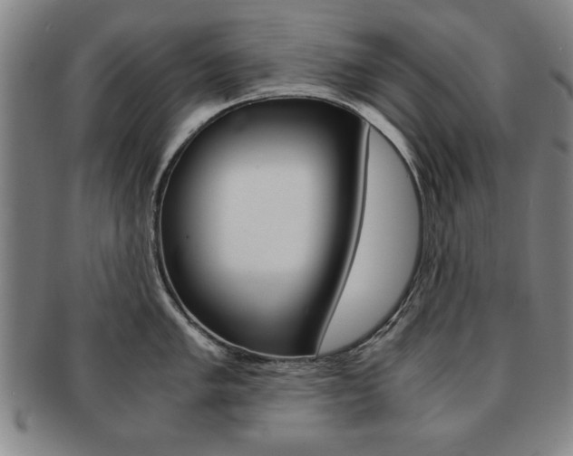 X0000091651005200708231006