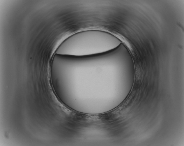 X0000091651006200708231006