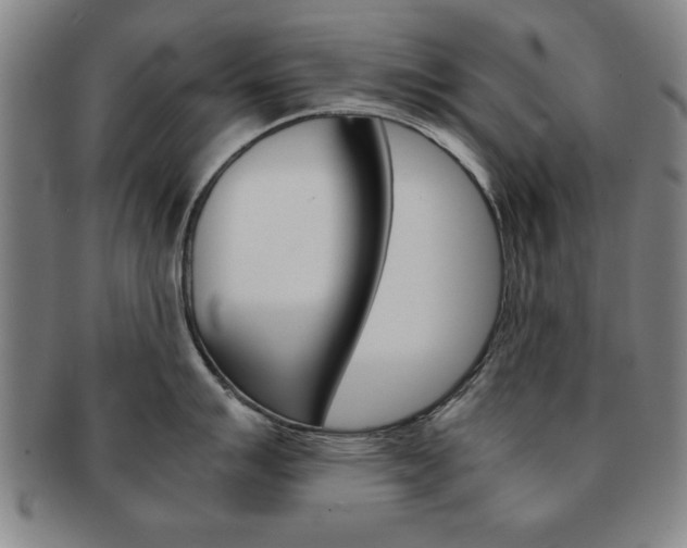 X0000091651007200708231006
