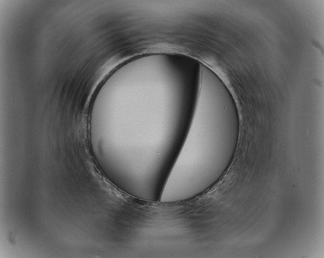 X0000091651008200708231006