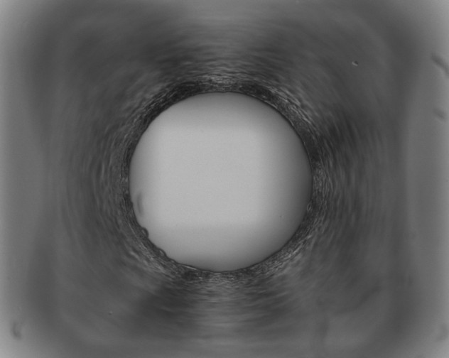 X0000091651009200708231005