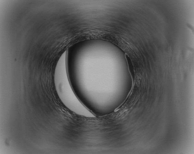 X0000091651010200708231005