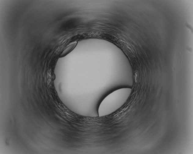 X0000091651011200708231005
