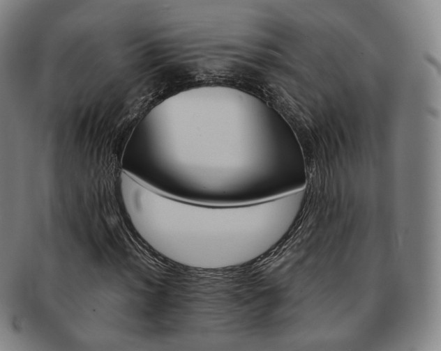 X0000091651012200708231005