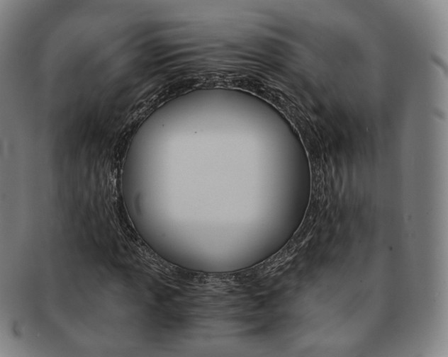 X0000091651013200708231005