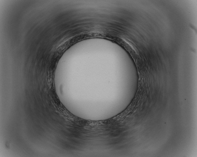 X0000091651015200708231005