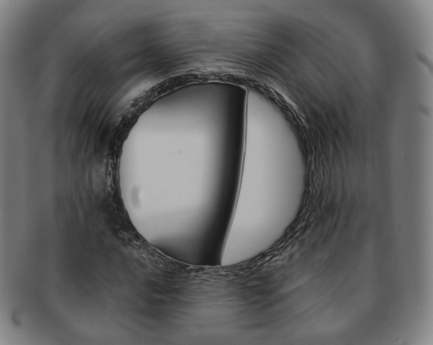X0000091651016200708231005