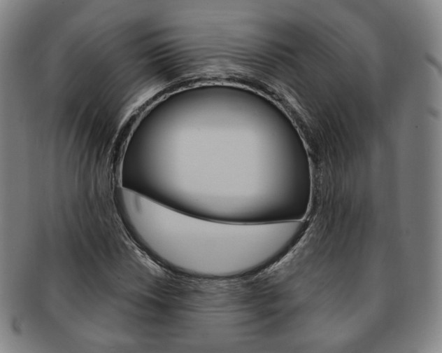X0000091651018200708231005