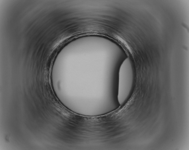 X0000091651019200708231005
