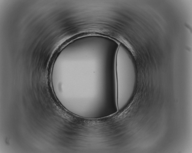 X0000091651020200708231005