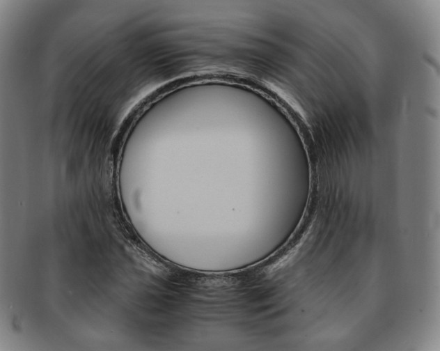 X0000091651021200708231005