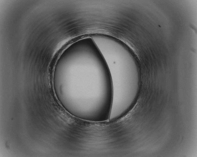 X0000091651022200708231005