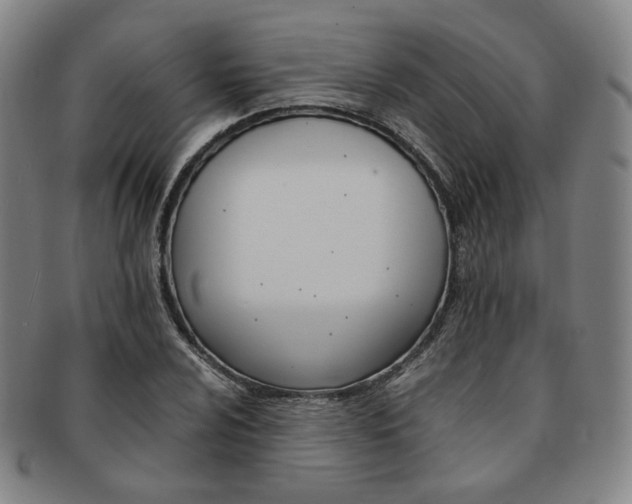 X0000091651024200708231005