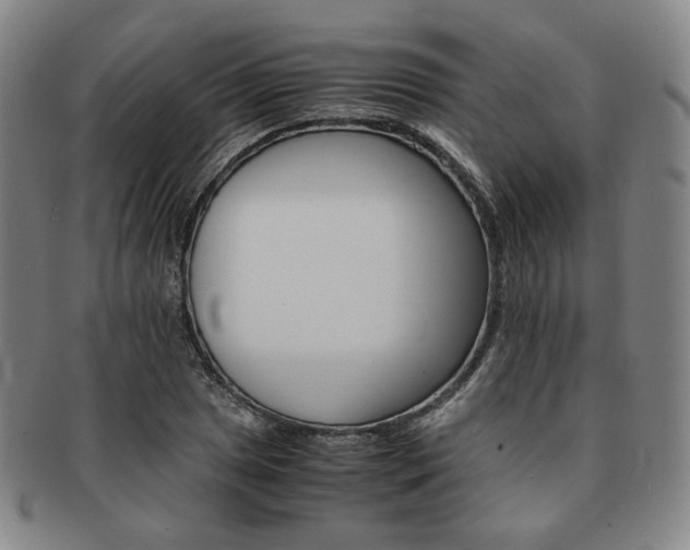 X0000091651025200708231005