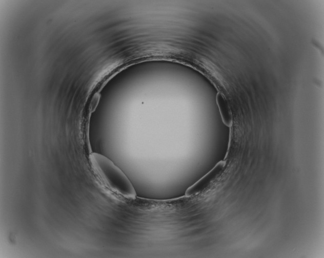 X0000091651026200708231005
