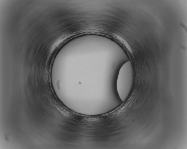 X0000091651027200708231005