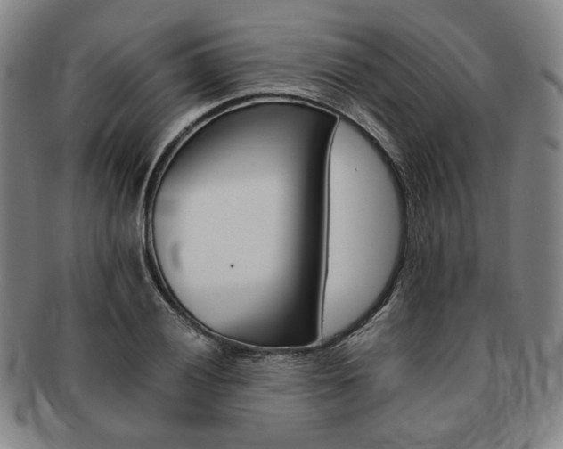 X0000091651028200708231005
