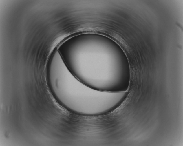 X0000091651030200708231005