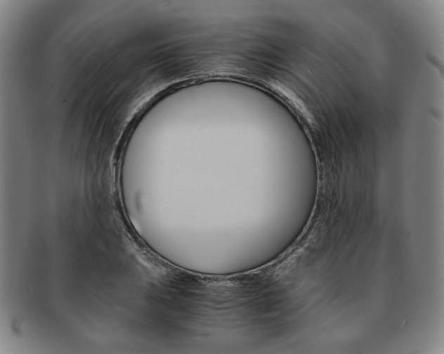 X0000091651031200708231005