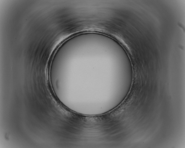 X0000091651032200708231005