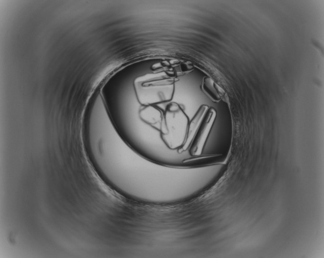 X0000091651034200708231005