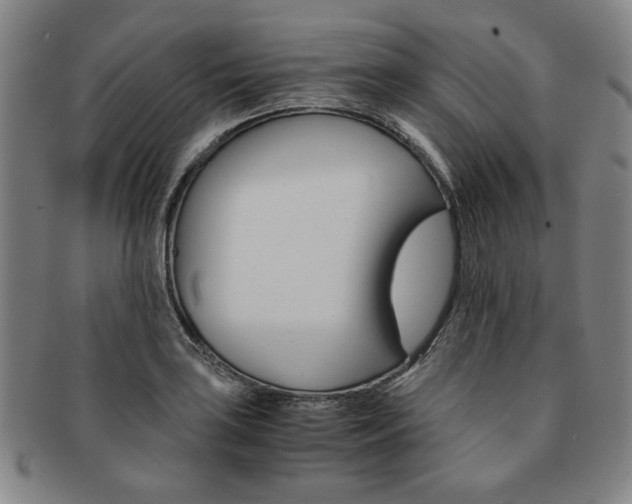 X0000091651035200708231005