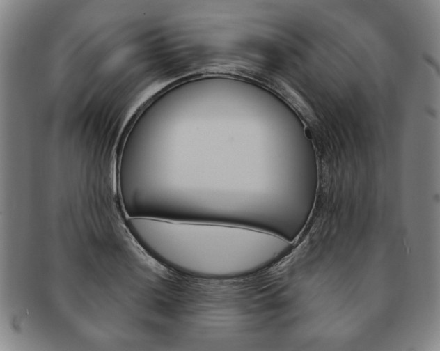 X0000091651036200708231005
