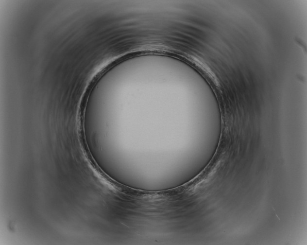 X0000091651037200708231005