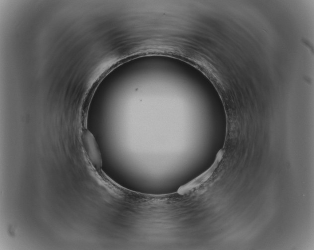 X0000091651038200708231005