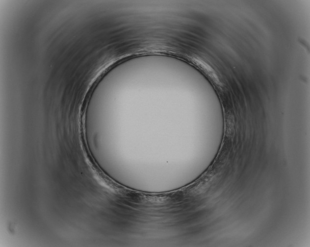 X0000091651039200708231005