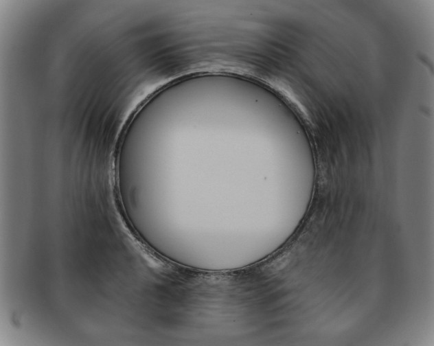 X0000091651040200708231005