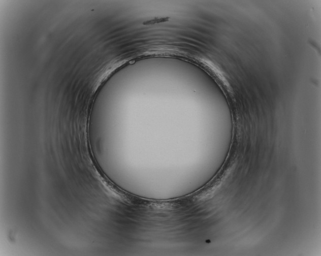 X0000091651041200708231005